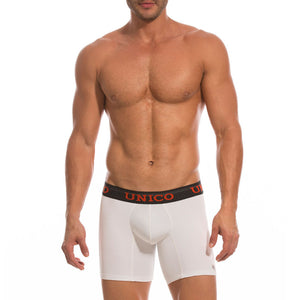 Mundo Unico: Mid Boxer Bayano Palenque